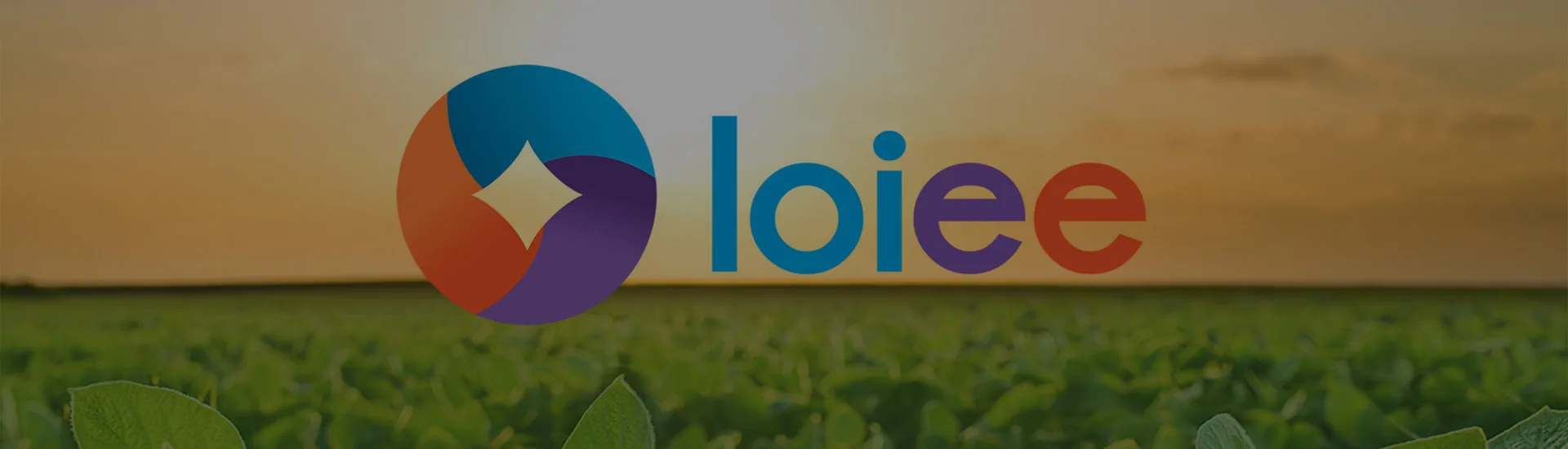 Branding Loiee